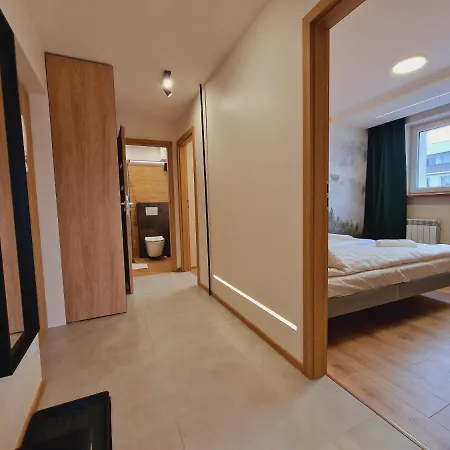 Widokowy Centrum アパート ザコパネ