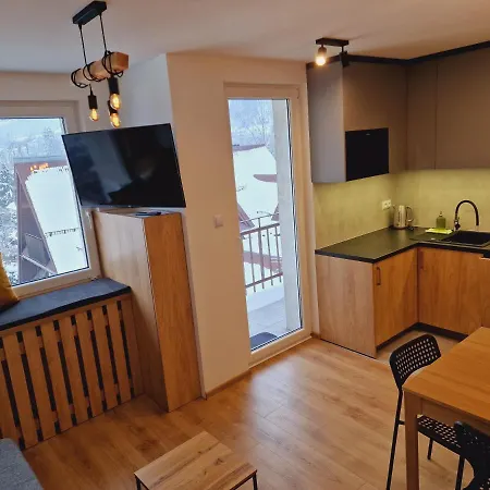 Widokowy Centrum شقة