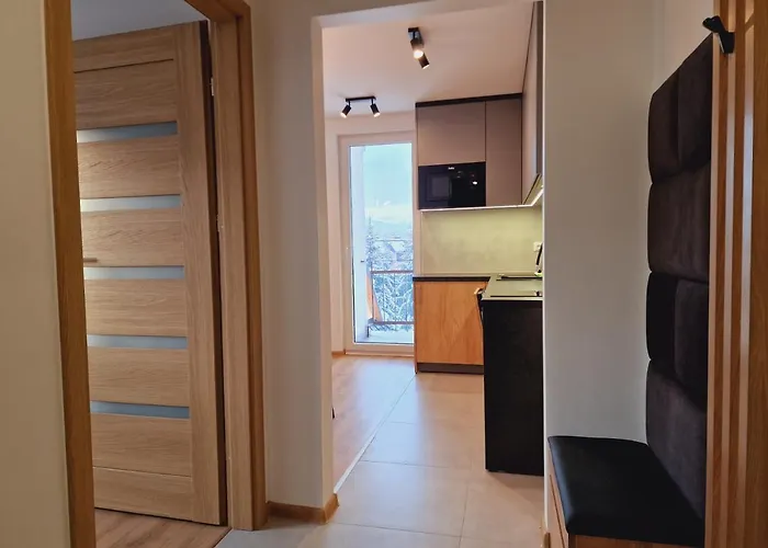 Widokowy Centrum Apartament *